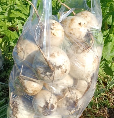 80元/斤 - 一亩田