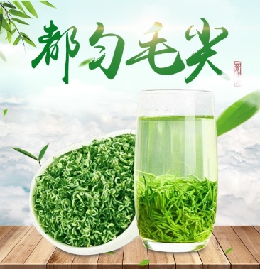 正宗都匀毛尖产地直销