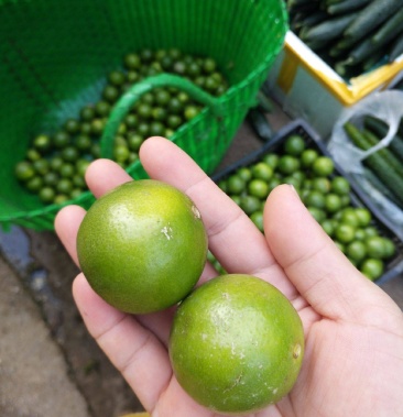 土柠檬咸柠檬专用