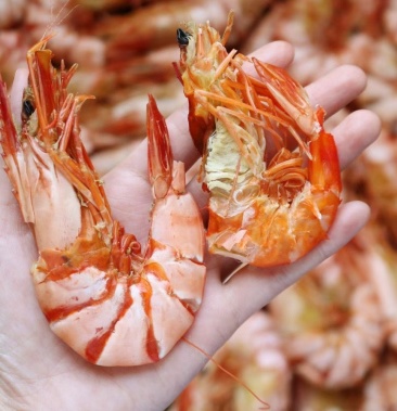 15对深海九节虾烤虾足干货颜色好淡干味道鲜甜