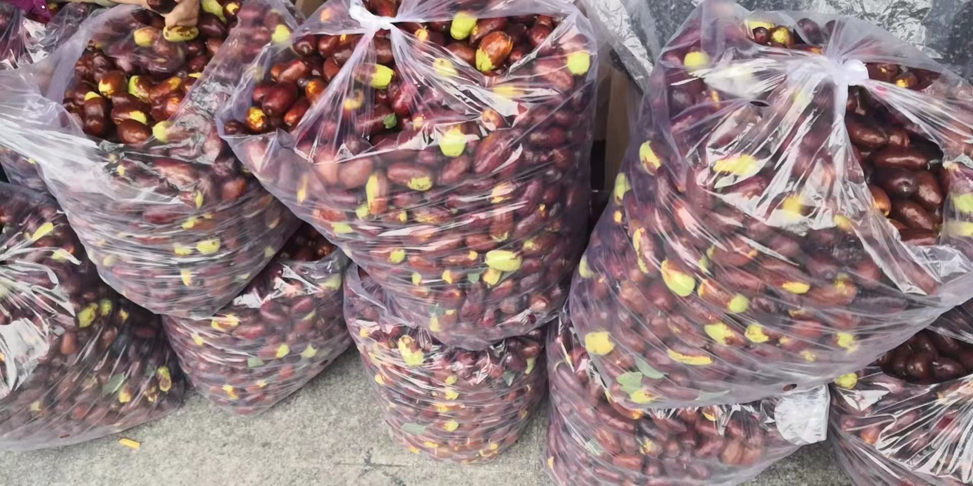 红枣酸奶制作过程