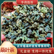 桑叶茶长期供应批发零售散装礼盒装一件代发