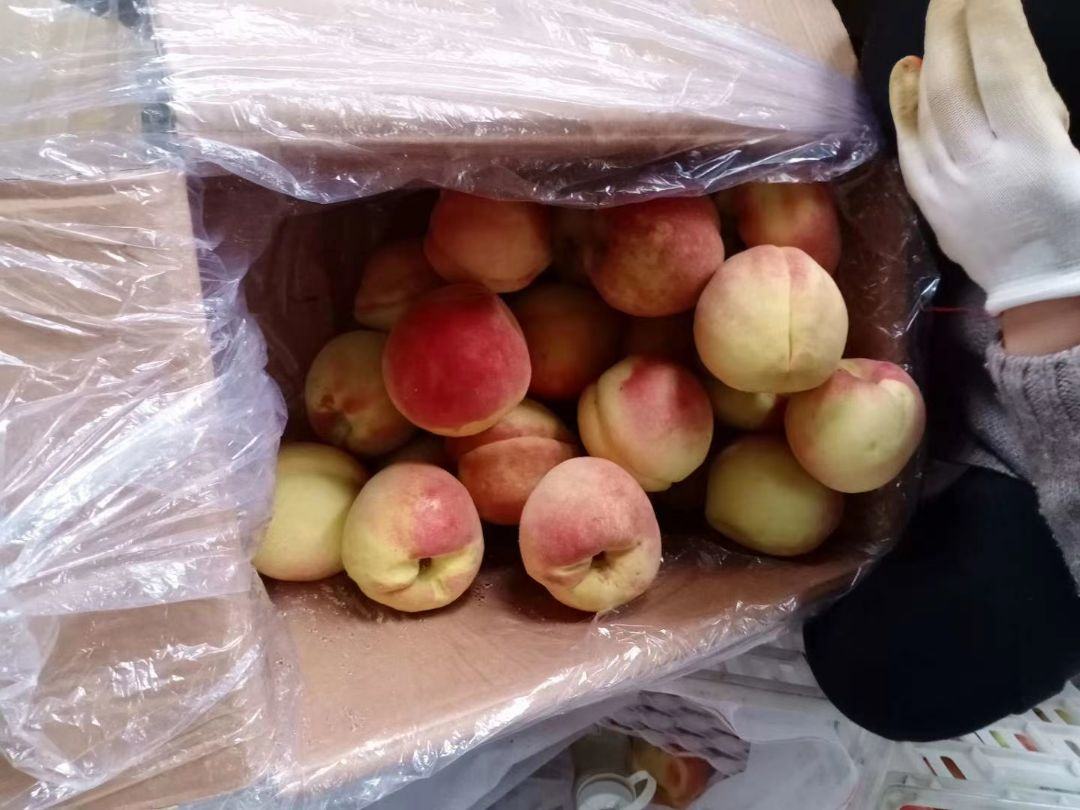 一盘精美的中华寿桃摆放在红色背景上,象征吉祥与长寿 中华寿桃的传统摆放与寓意