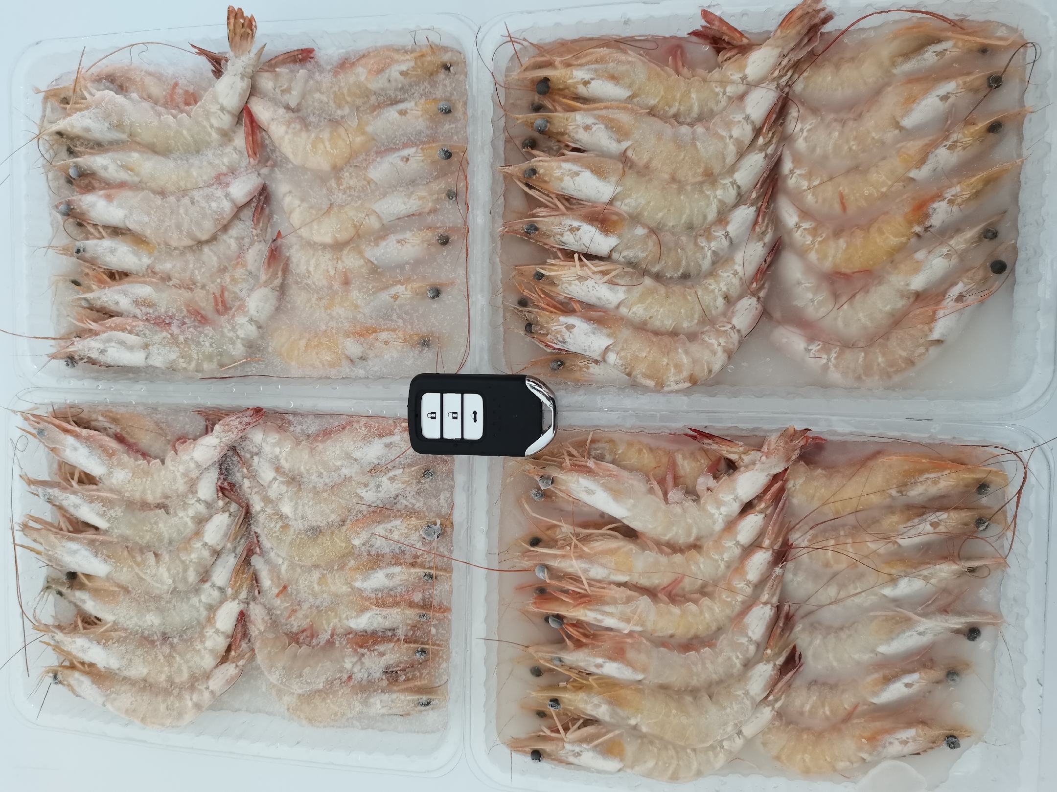 白对虾成品图