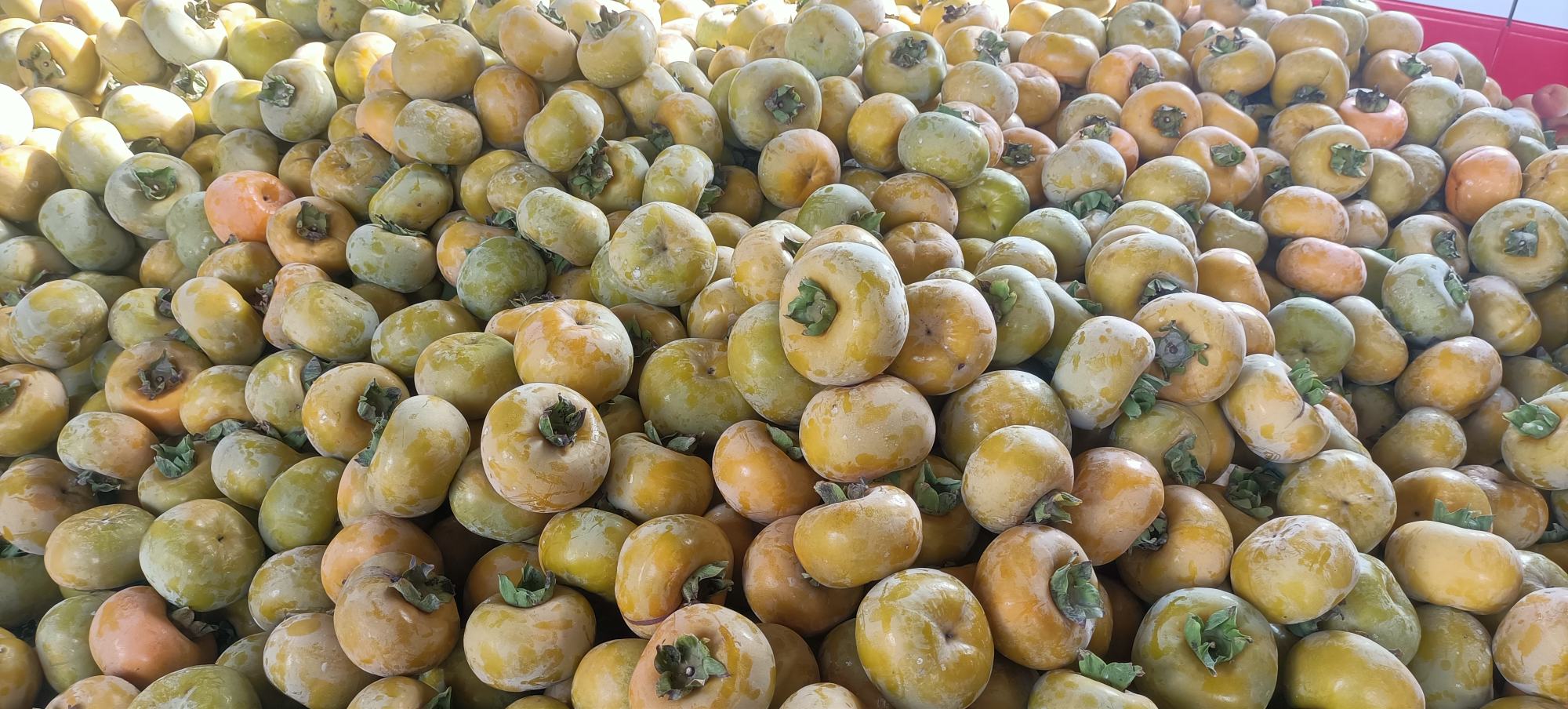 保山甜柿市场销售场景