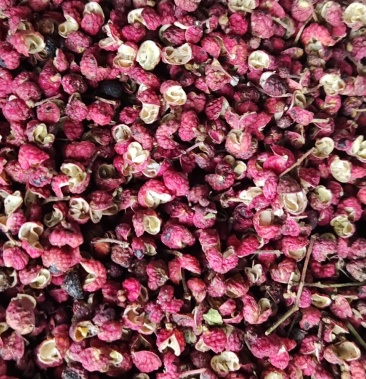 大红袍花椒颗粒大颜色红麻味香浓