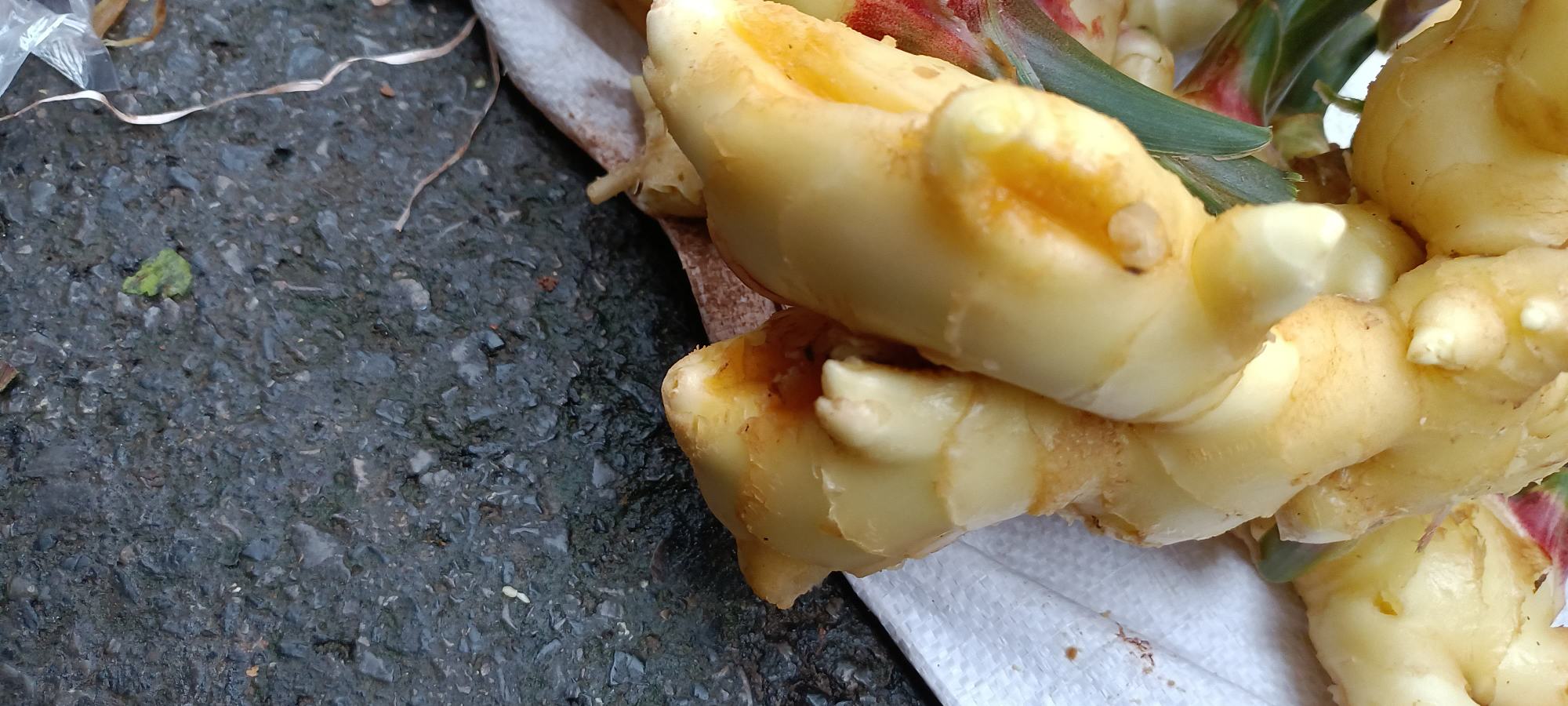 一位厨师正在厨房操作台上用软毛刷清洗带泥的新鲜子姜,旁边摆放着一把锋利的厨刀和一块砧板;镜头特写显示子姜表皮干净光滑,随后切换到将子姜切成均匀薄片的过程,每片厚度约为1-2毫米 子姜清洗与切片过程