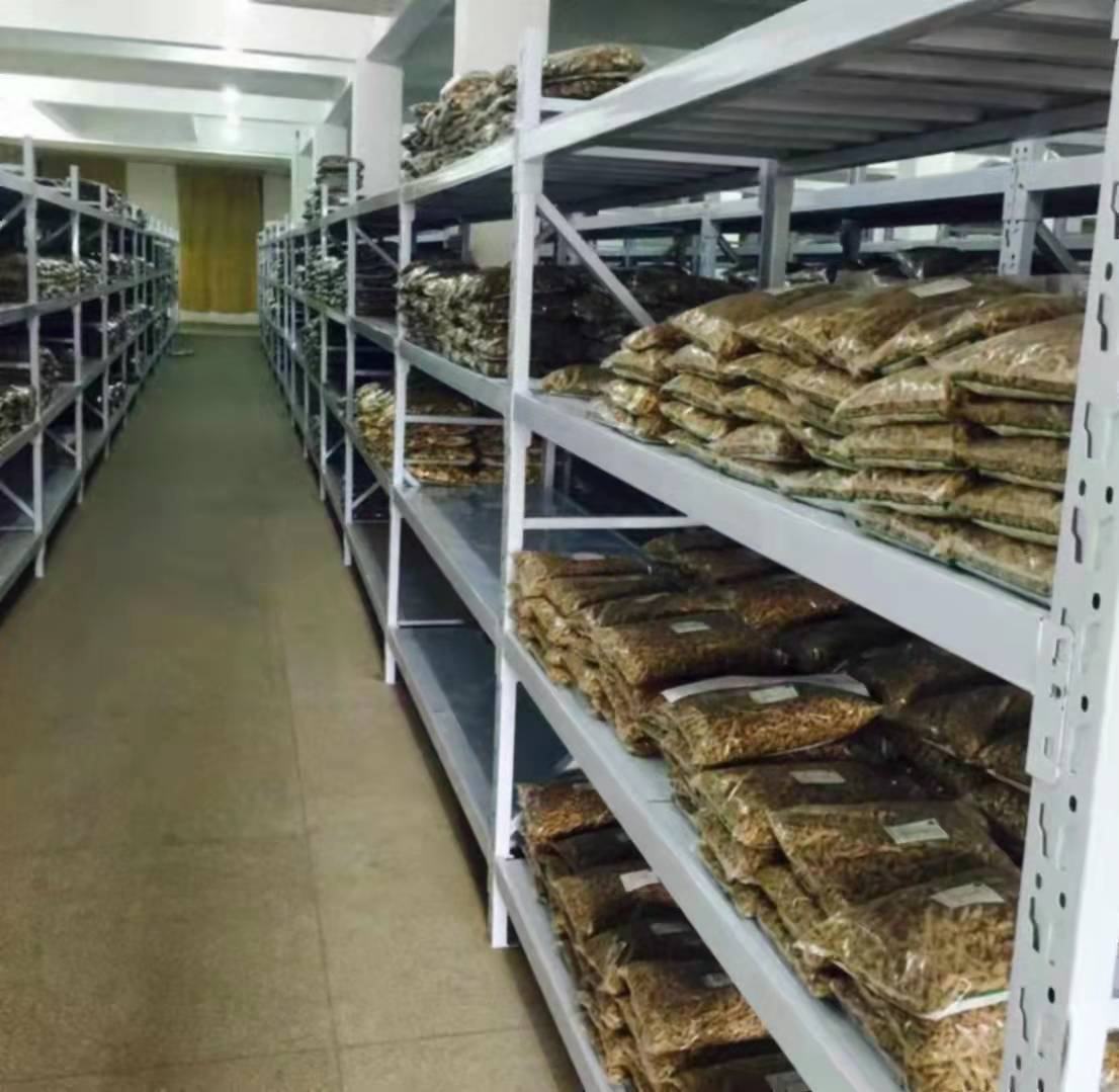 中药房内浙贝母饮片陈列实景图