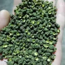 2025重庆青花椒新货麻度高青麻椒净度高色选无刺量大从优