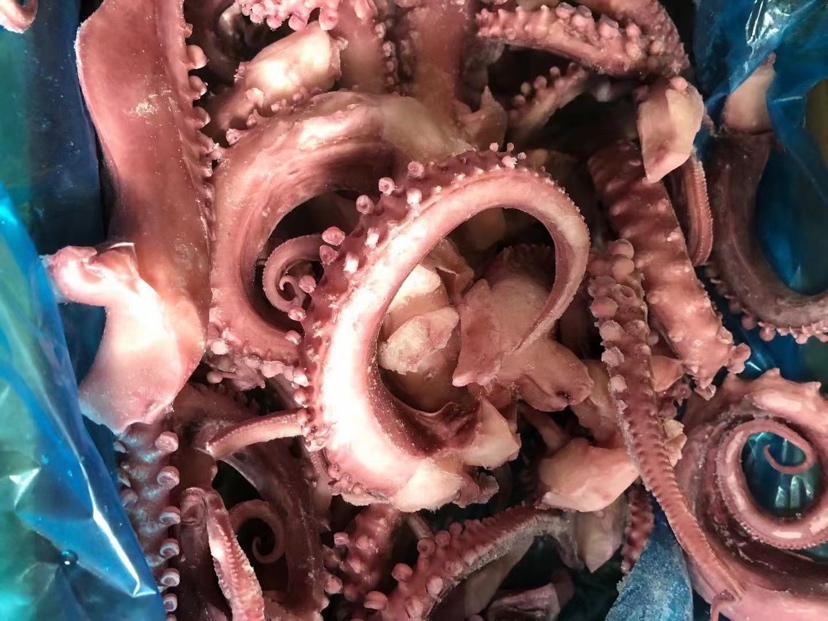 八爪鱼与鱿鱼烹饪成品对比图