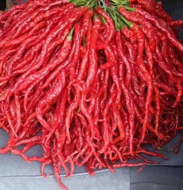 [线椒批发]循化 湿线辣椒价格10.00元/斤 - 一亩田