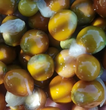 大号芡实鸡头籽批发10mm—12mm