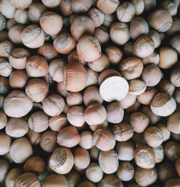 [毛榛批发]铁岭象牙山野生榛子价格12.00元/斤 - 一亩田