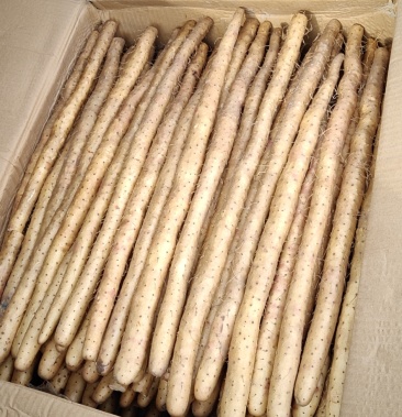 [白玉山药批发]银川白玉山药货源充足 口感好 颜色好看价格2.