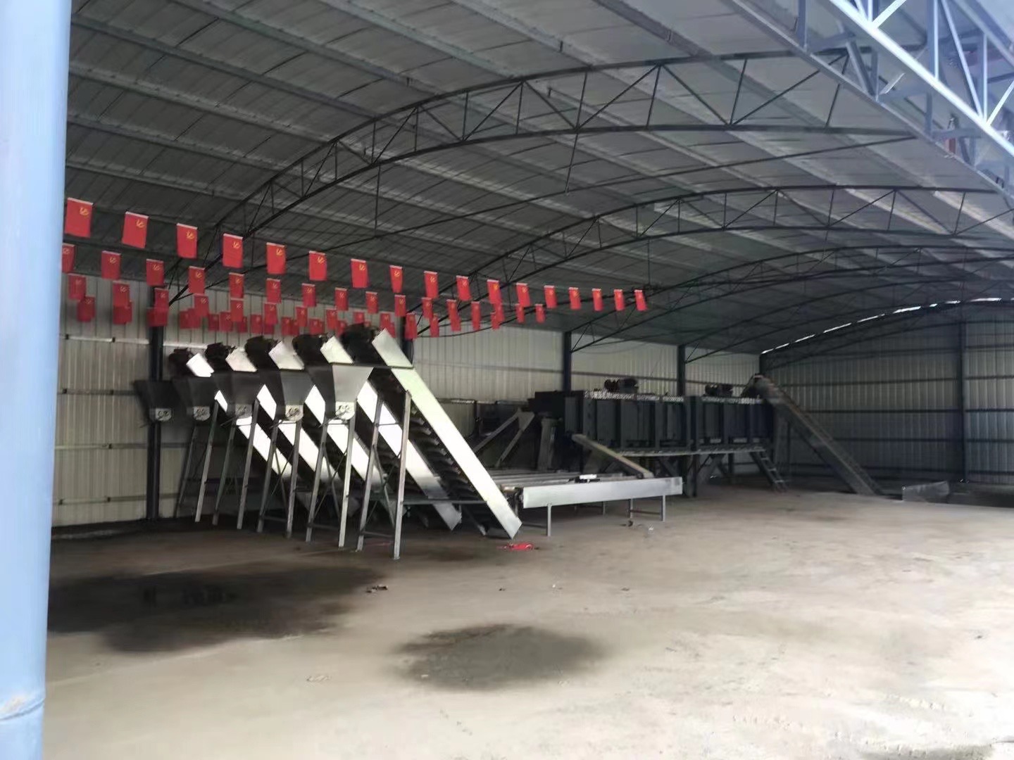 迁西板栗加工车间实拍,展示从鲜果到干品的工业化处理过程 现代化板栗加工厂内景,工人正在操作烘干流水线,传送带上整齐排列着待处理的迁西板栗