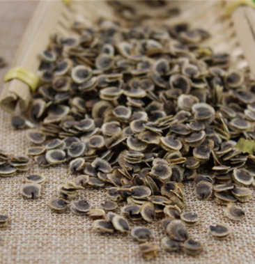 蜀葵子,蜀葵花子果实饱满经营千余种中药材欢迎咨询购买!