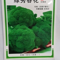 绿秀春花，是个春季播种西兰花，中晚熟，抗性好，颜色漂亮花