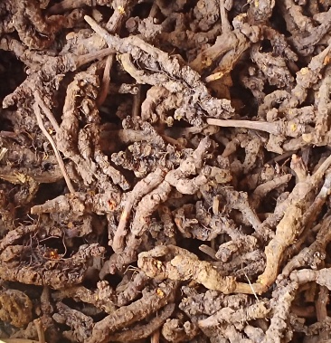 [三角叶黄连批发]中药材黄连价格170.00元/斤 - 一亩田