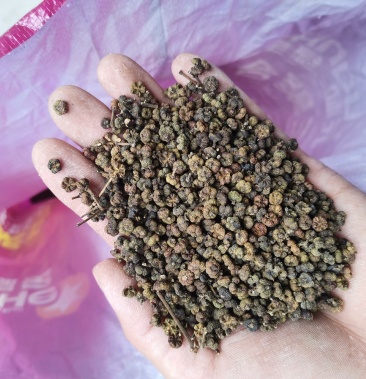 [吴茱萸批发]棰油子价格25.00元/斤 - 一亩田