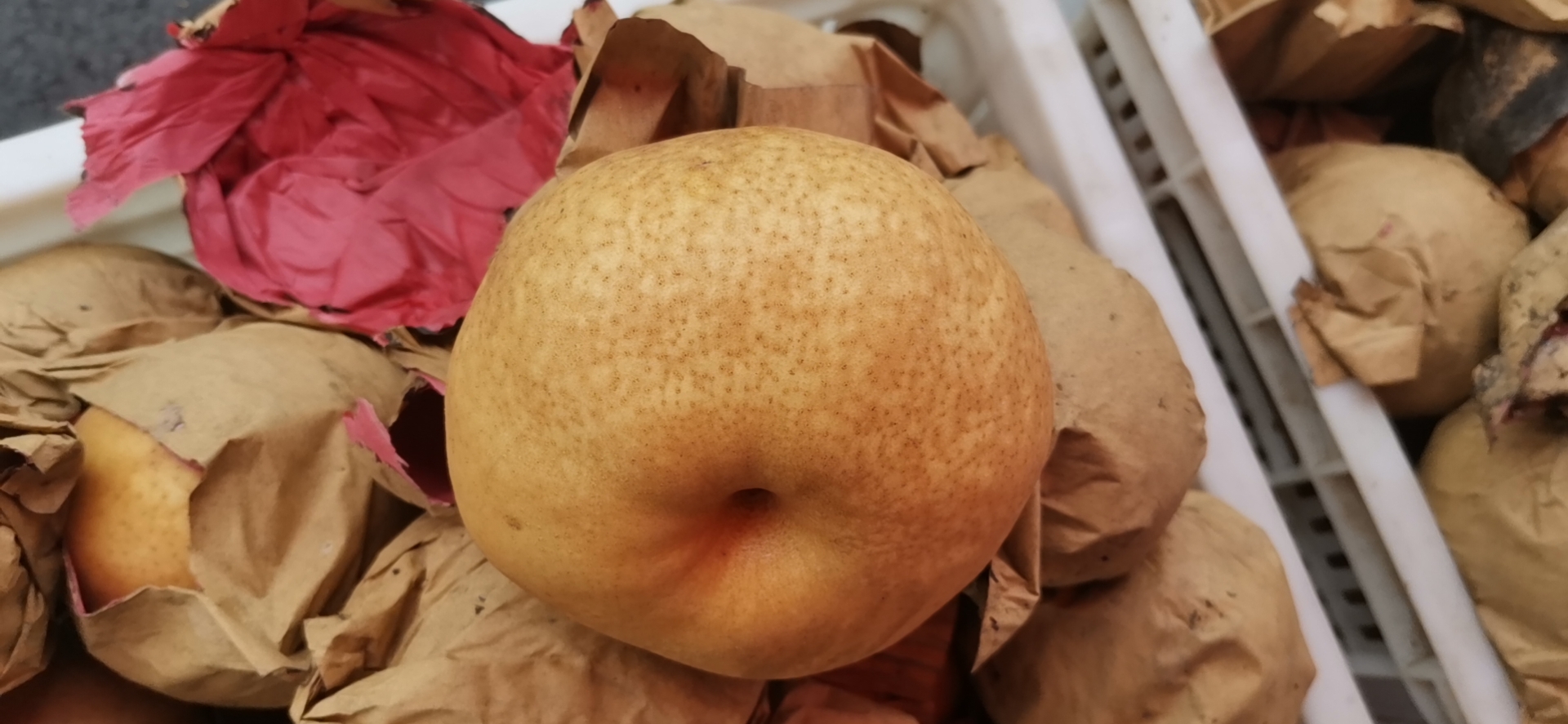 图中展示了一个香梨与苹果、橙子、猕猴桃等常见水果的大小对比,帮助直观了解一个香梨的实际重量范围 香梨与常见水果的对比图