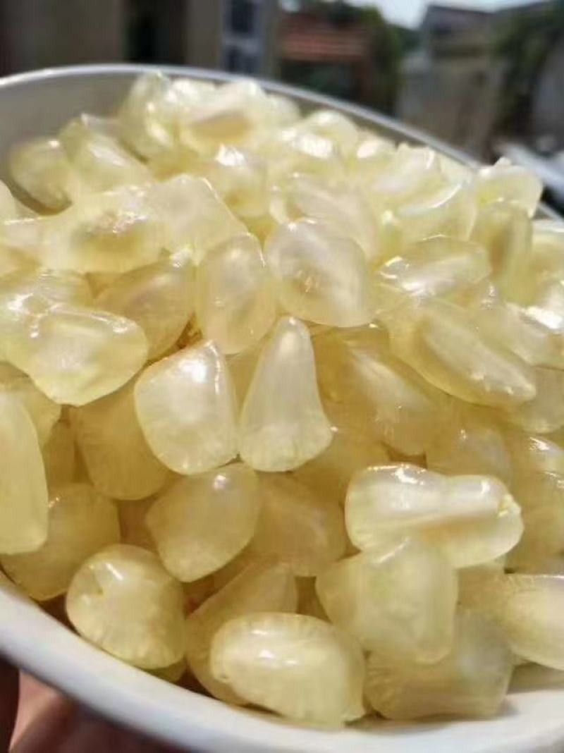 怀远县石榴白花玉石籽石榴软籽石榴