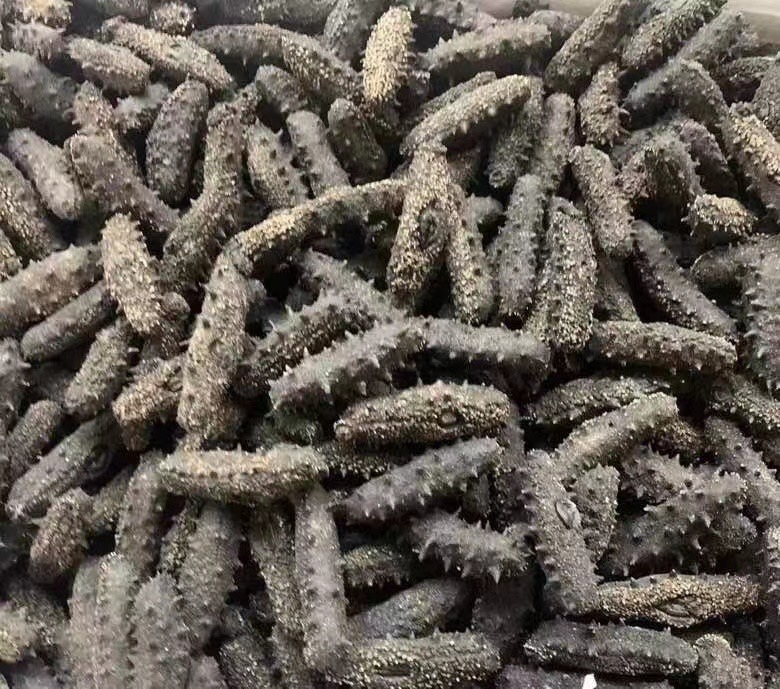 海参市场消费趋势图