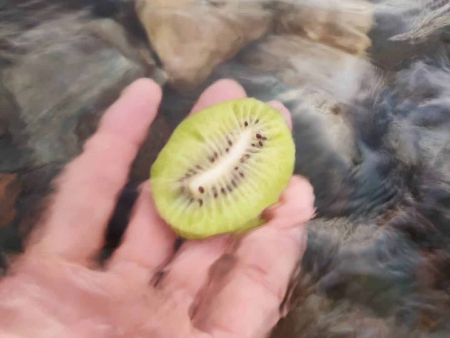 手部特写正在轻轻按压猕猴桃两端测试成熟度