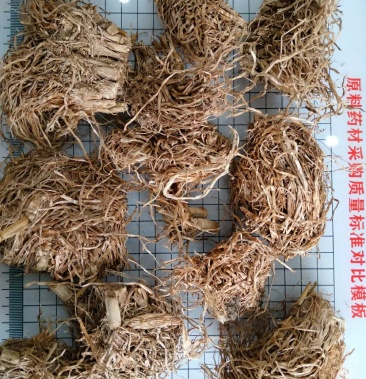 糯稻根 正品中药材 水洗糯稻根 保证质量