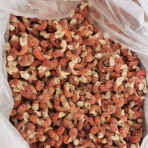 龙虾尾