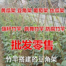 批发菜架竹竿棍菜园搭架户外篱笆豆角黄瓜旗杆支架爬藤竹杆子