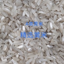 三选黄米