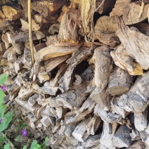 常年出售苹果木梨木栗子树板栗树核桃树等硬木劈柴，适合民宿