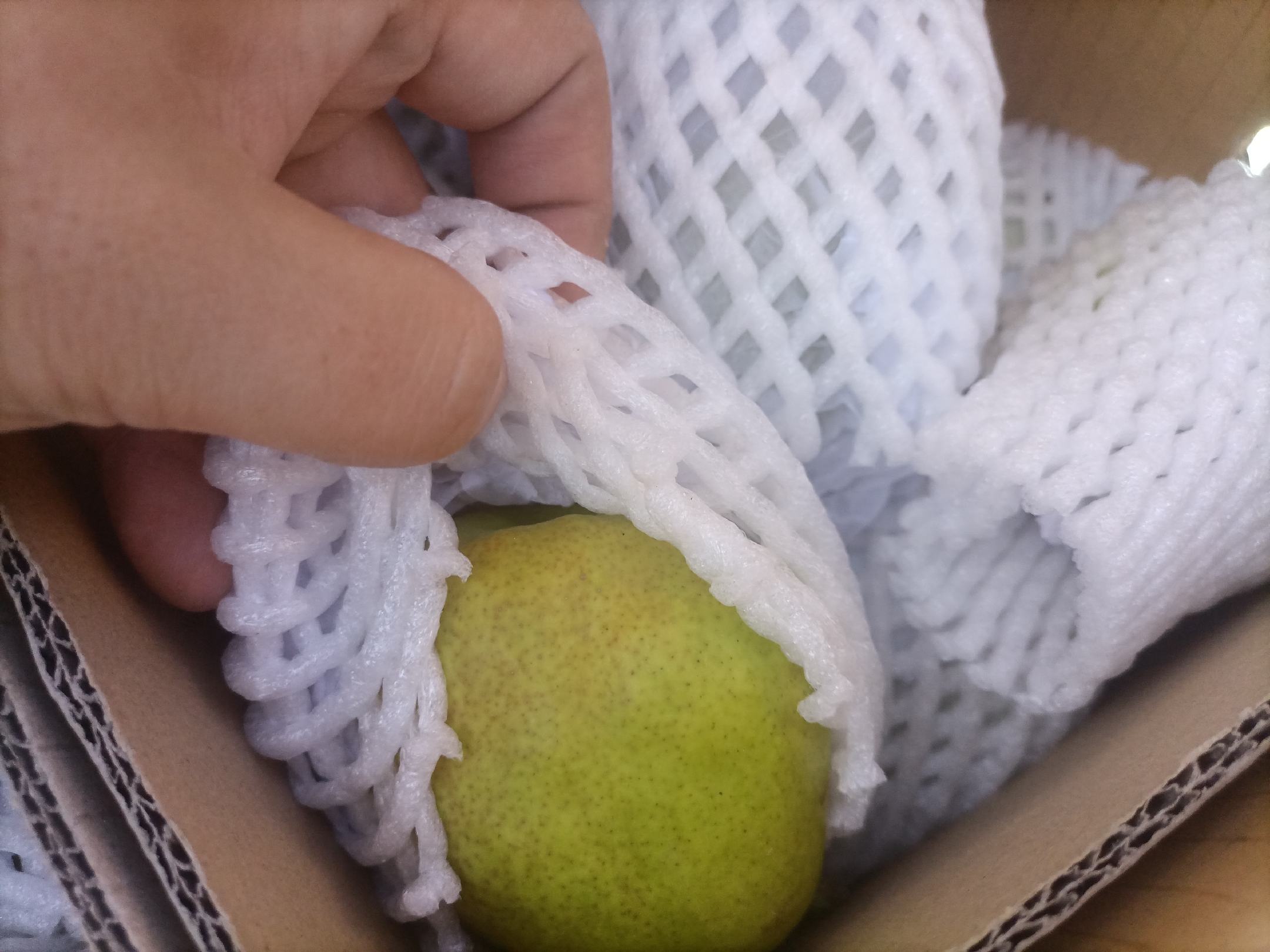 香梨与苹果、柠檬等水果搭配,展示其多样的食用方式 香梨与其他水果搭配图