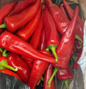 [红椒批发]千斤红辣椒价格1.70元/斤 - 一亩田