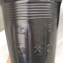 营养杯