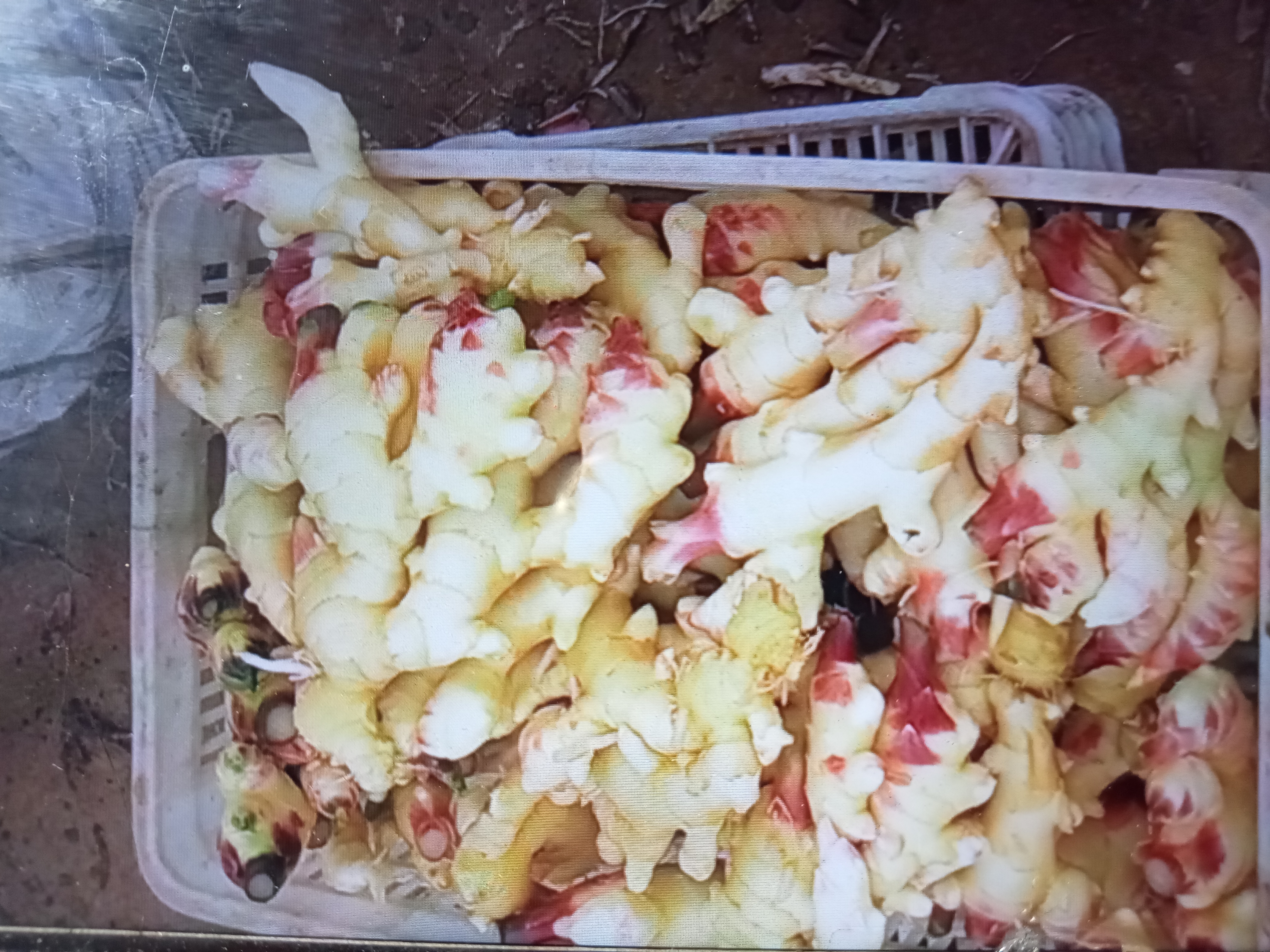 中式健康餐搭配场景:腌生姜作为低钠调味小菜与白粥、清炒蔬菜同框,体现其在均衡膳食中的合理定位,杜绝高油盐重口味暗示 中式餐桌俯拍:青花瓷小碟盛放琥珀色腌生姜片,旁置白粥碗与清炒时蔬,整体构图简洁干净,强调健康配餐场景