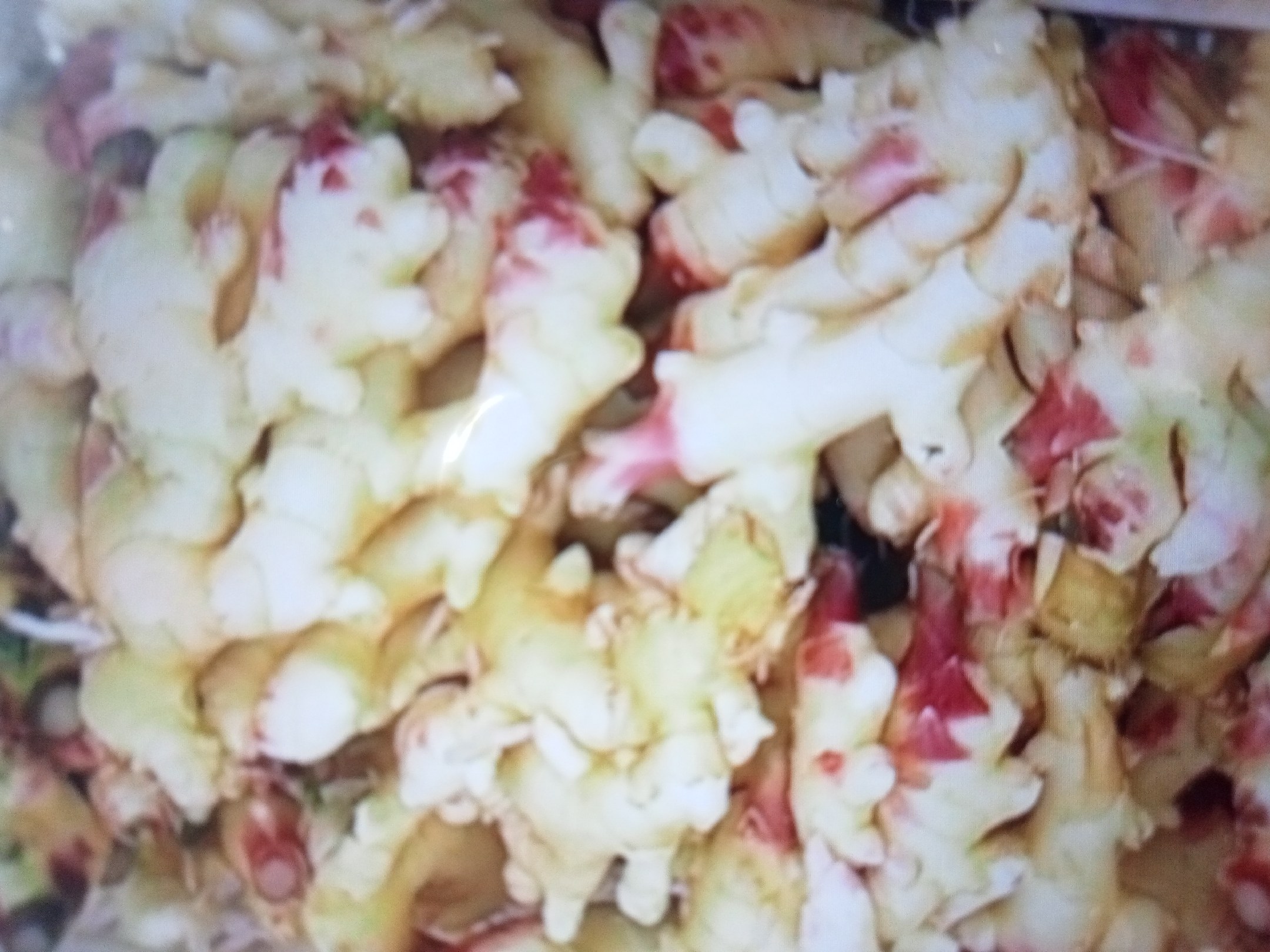 红芽姜深加工产品展示