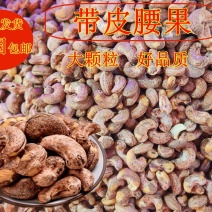 带皮腰果可批发可零售