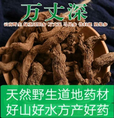 云南中药材还阳参万丈深奶浆参铁扫把野生新货正品