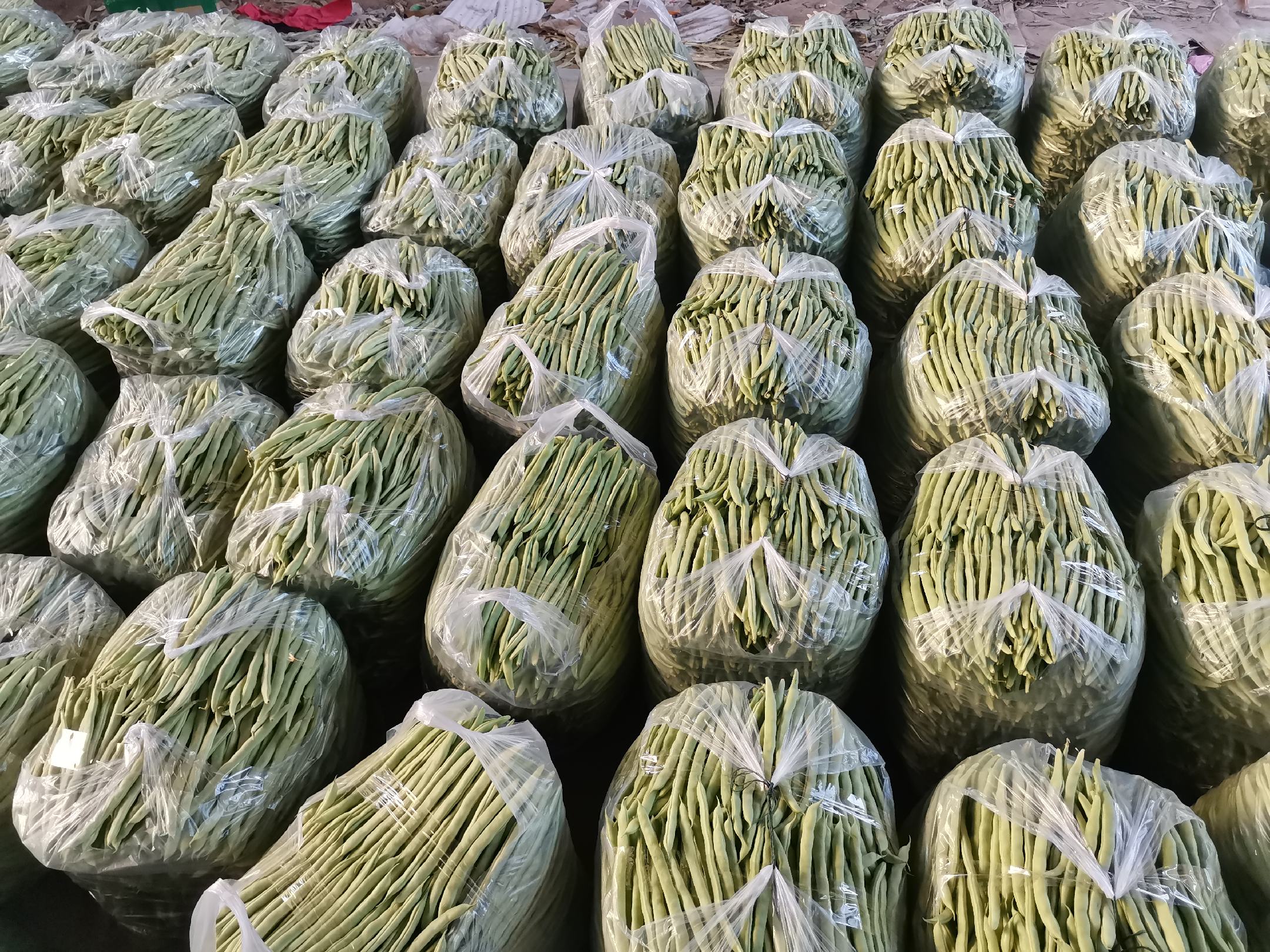 市场中新鲜的四季豆摆满摊位