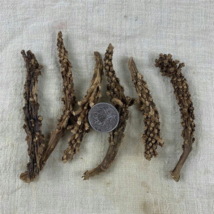 [泡酒料批发]虎鞭草云南苗家特产顶天柱子孙草野生强劲草男性泡酒料