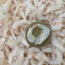 【热卖】辽宁虾皮厂家直发量大优惠可视频看货欢迎来电订购