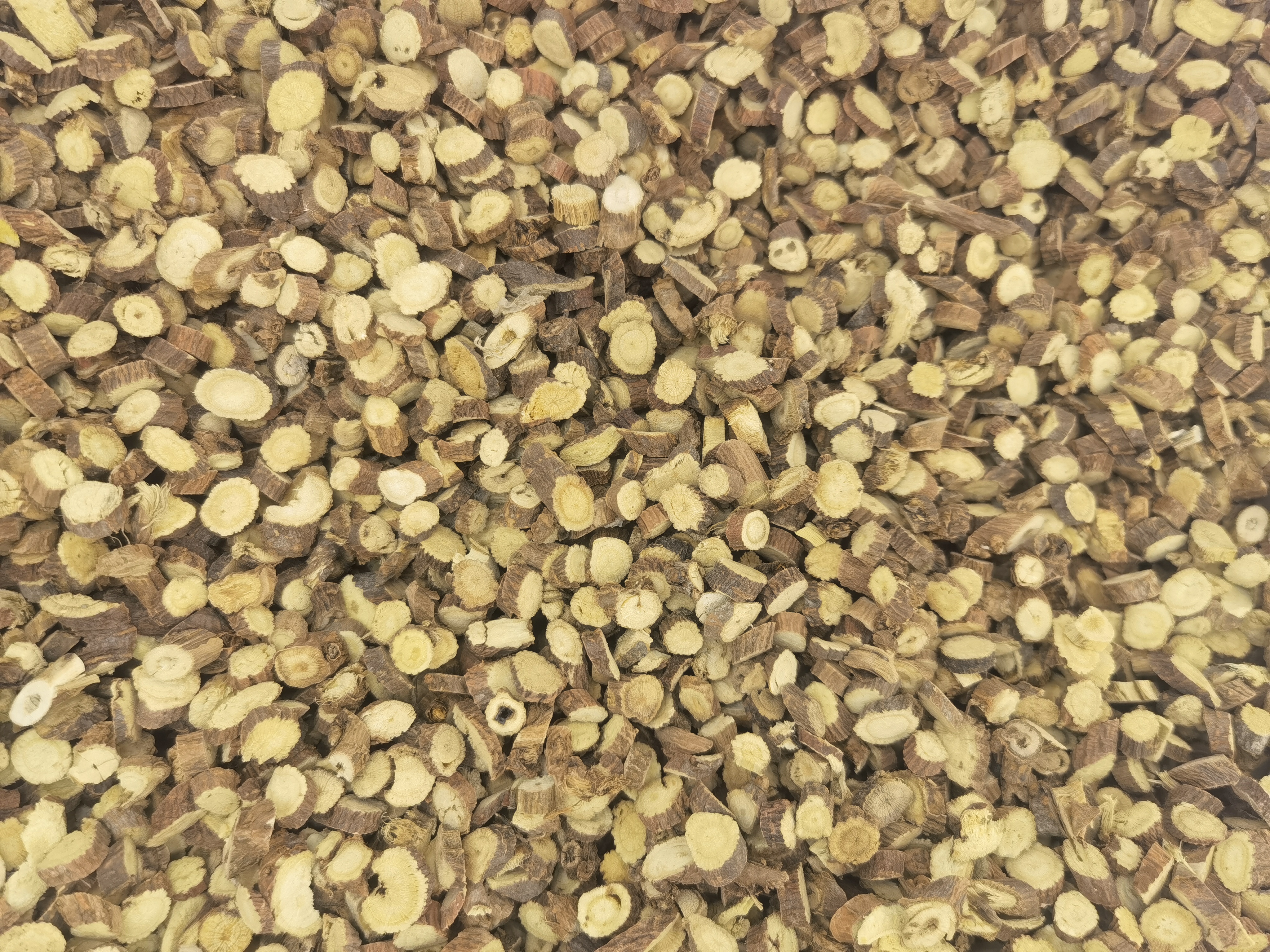 洒黄芩的外观展示