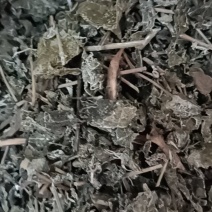 售卖野生藤茶
