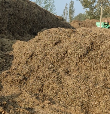 大量出售花生秸秆有需要的老板联系
