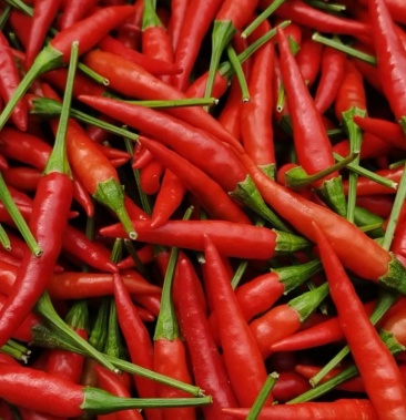 山西吕梁柳林县物流运费待商议规格通货400斤立即订购牛华清个人等级