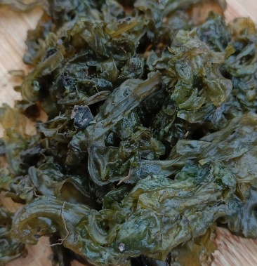 [地皮菜批发]山东野生地皮菜价格120.00元/斤 - 一亩田