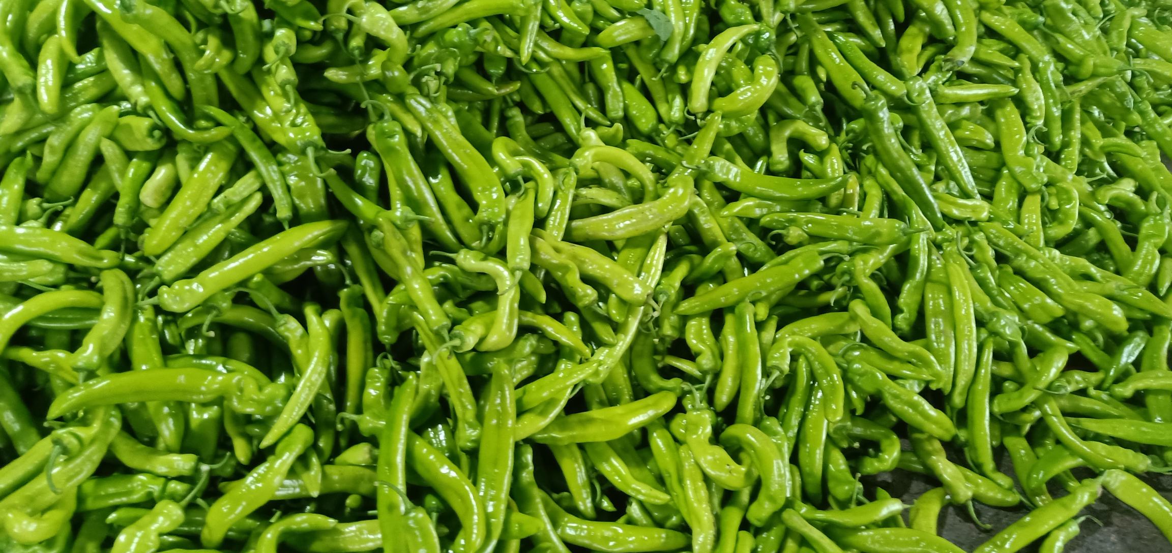 市场摊位上的新鲜圆椒陈列