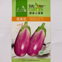 特色蔬菜种子茄子灯泡形茄子种子绿萼果面玫红色茄籽
