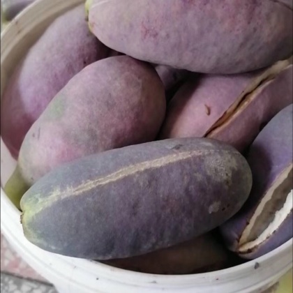 七星关区产地行情